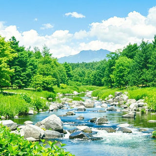 Lush green landscape with trees and clear blue skies.