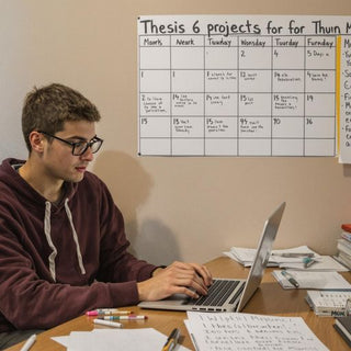 Student studying for thesis in a cozy workspace.