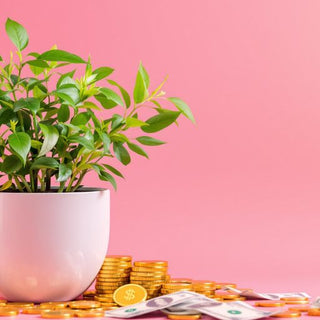 Green plant with coins, symbolizing financial growth.